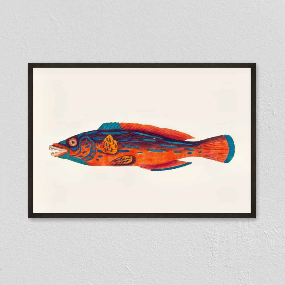 fish art print on wall in black frame